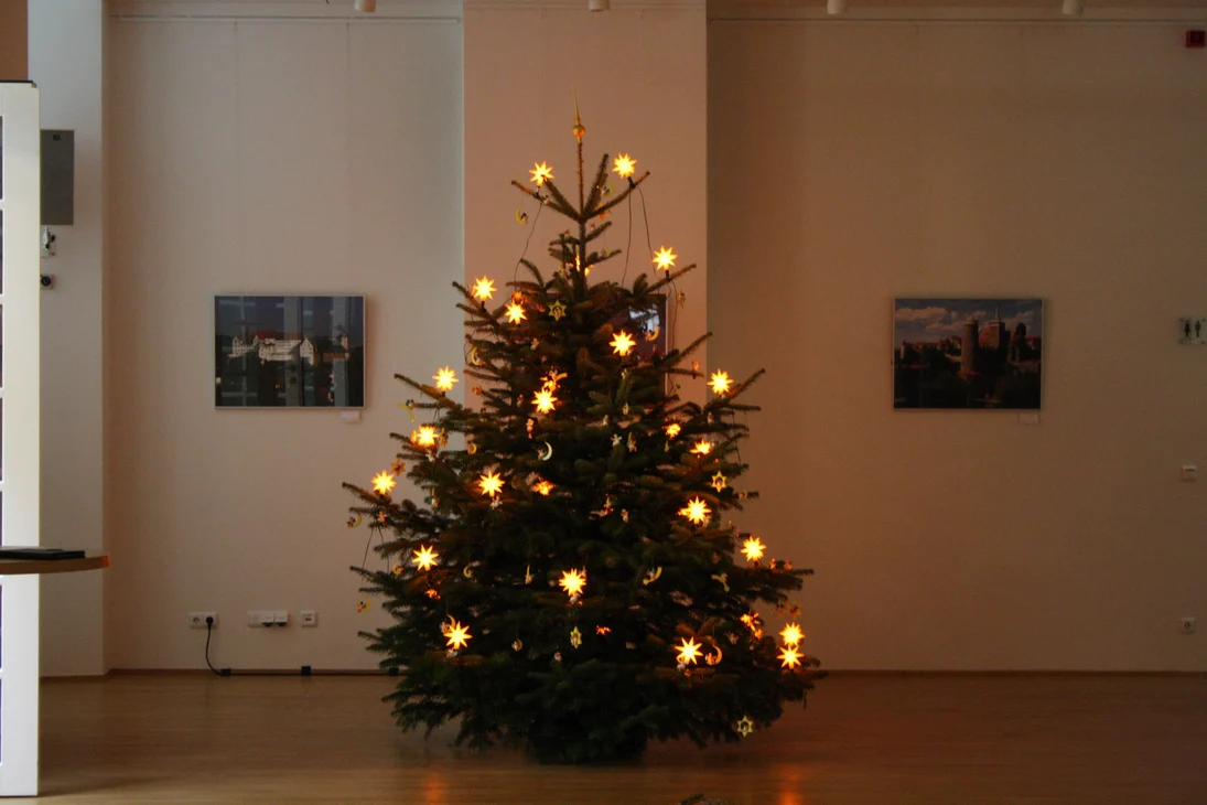 Weihnachtsbaum aus Cunewalde