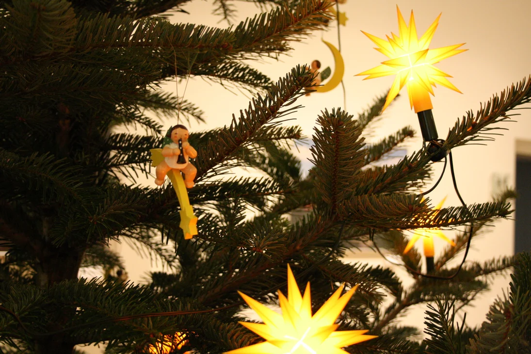 Weihnachtsbaum aus Cunewalde